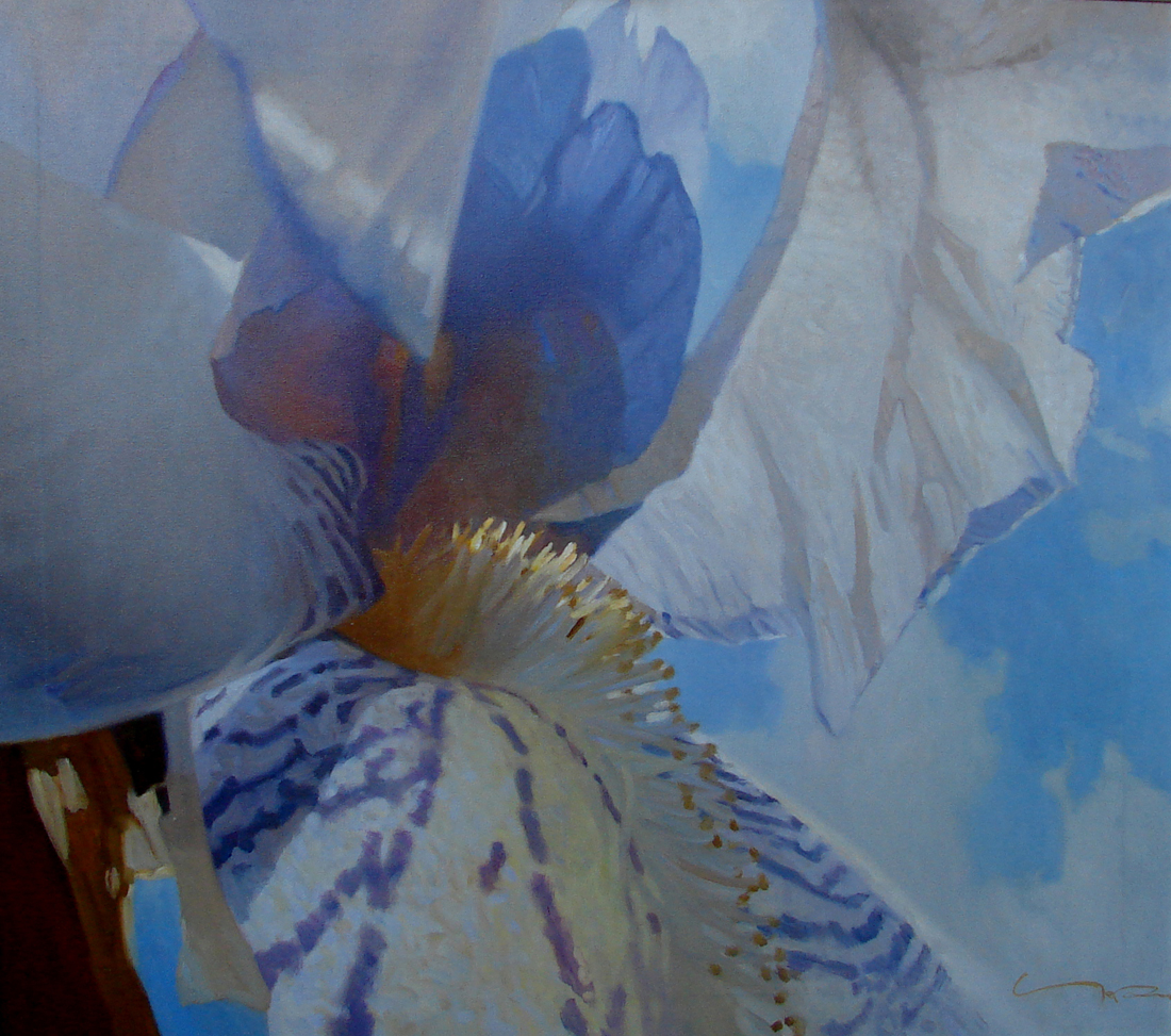 "IRIS  2"  from the series "Approximation"